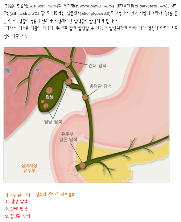 주석 2019-07-26 114308